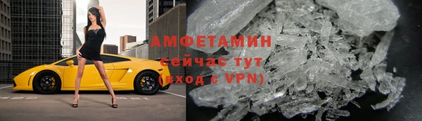 прущие грибы Нея