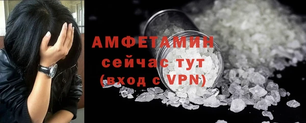 прущие грибы Нея