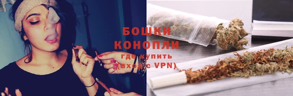 прущие грибы Нея
