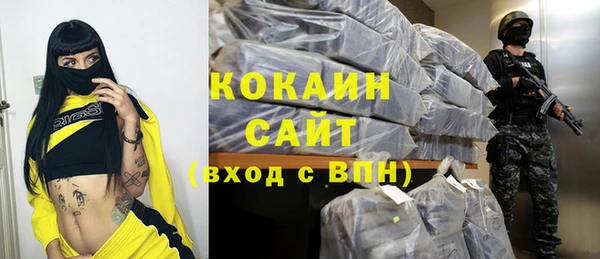 дживик Аркадак