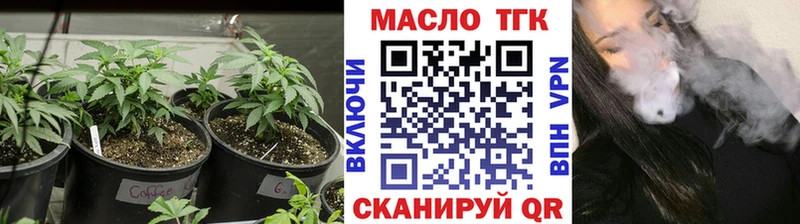ТГК Wax  Новоалтайск 
