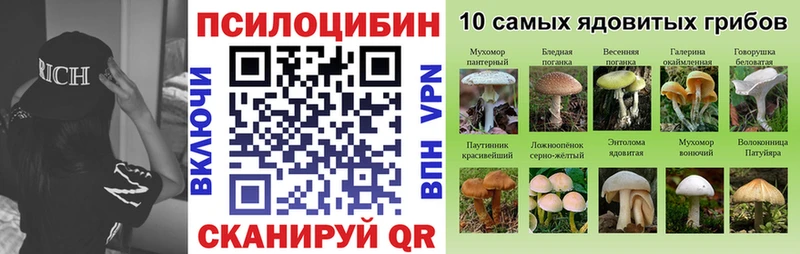 Псилоцибиновые грибы ЛСД  Новоалтайск 