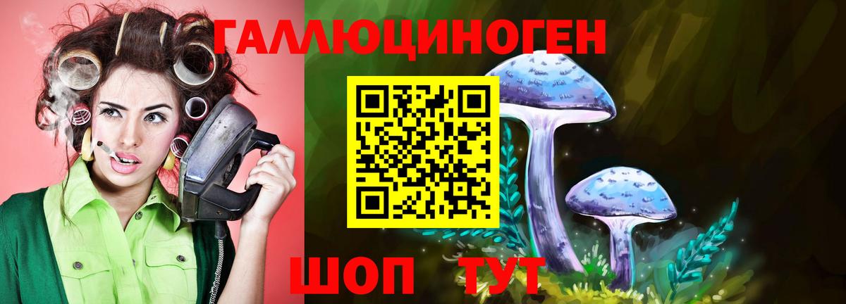 Галлюциногенные грибы ЛСД  купить наркотики сайты  Новоалтайск  Вход с VPN 