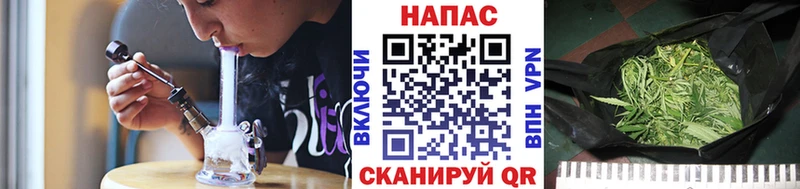 Каннабис VHQ  блэк спрут онион  Новоалтайск 